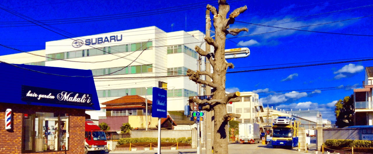 ヘアガーデン マカリィ｜群馬県太田市にあるおしゃれな新感覚理容室｜Hair Garden Makali'i